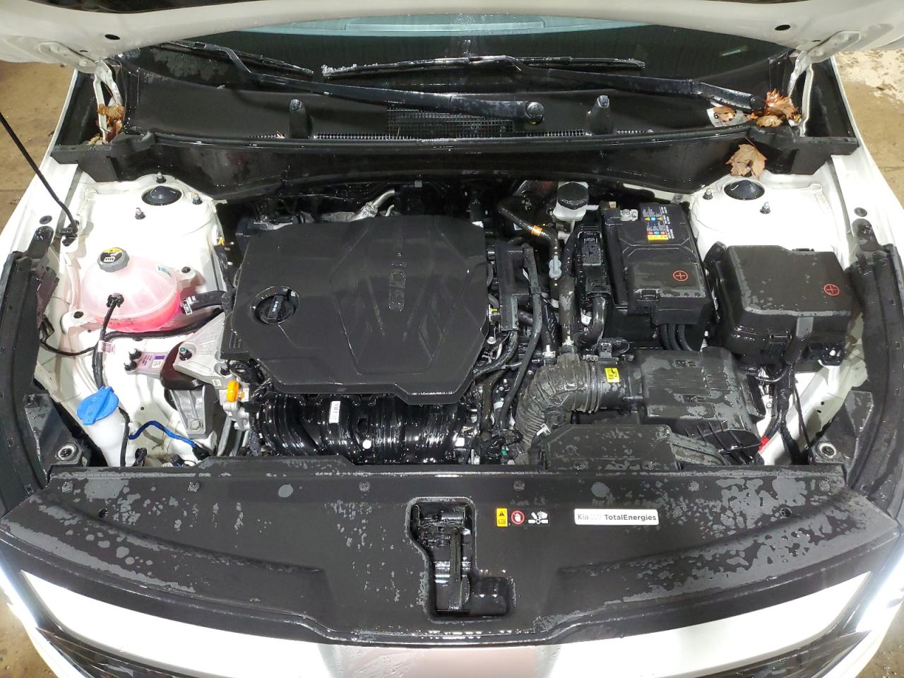 2024 KIA Sportage VIN KNDPUCDFXR7311121 Copart auction photo, rear end / side damage thumbnail 12