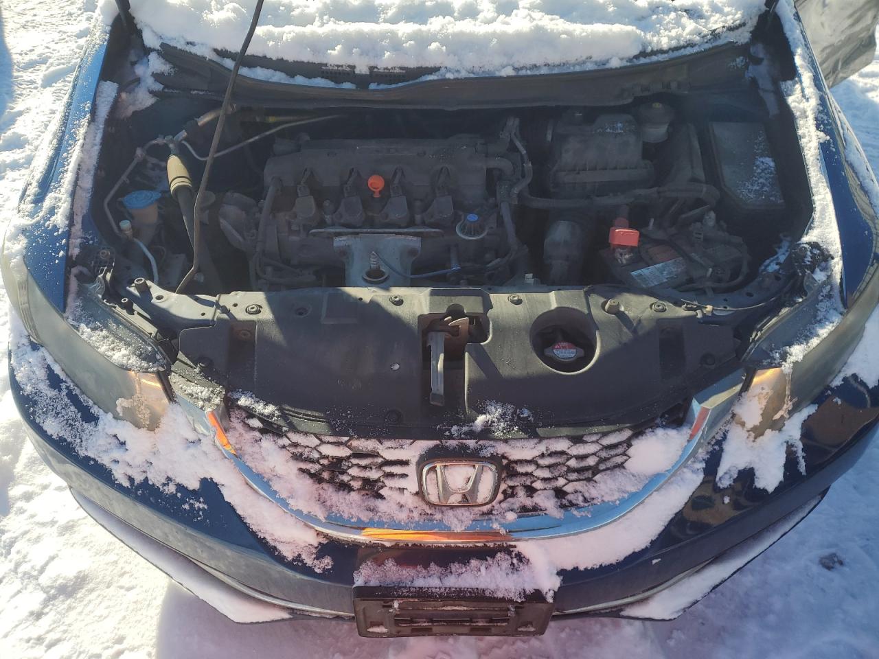 2015 Honda Civic VIN 19XFB2F50FE049475 Copart auction photo, side damage thumbnail 11