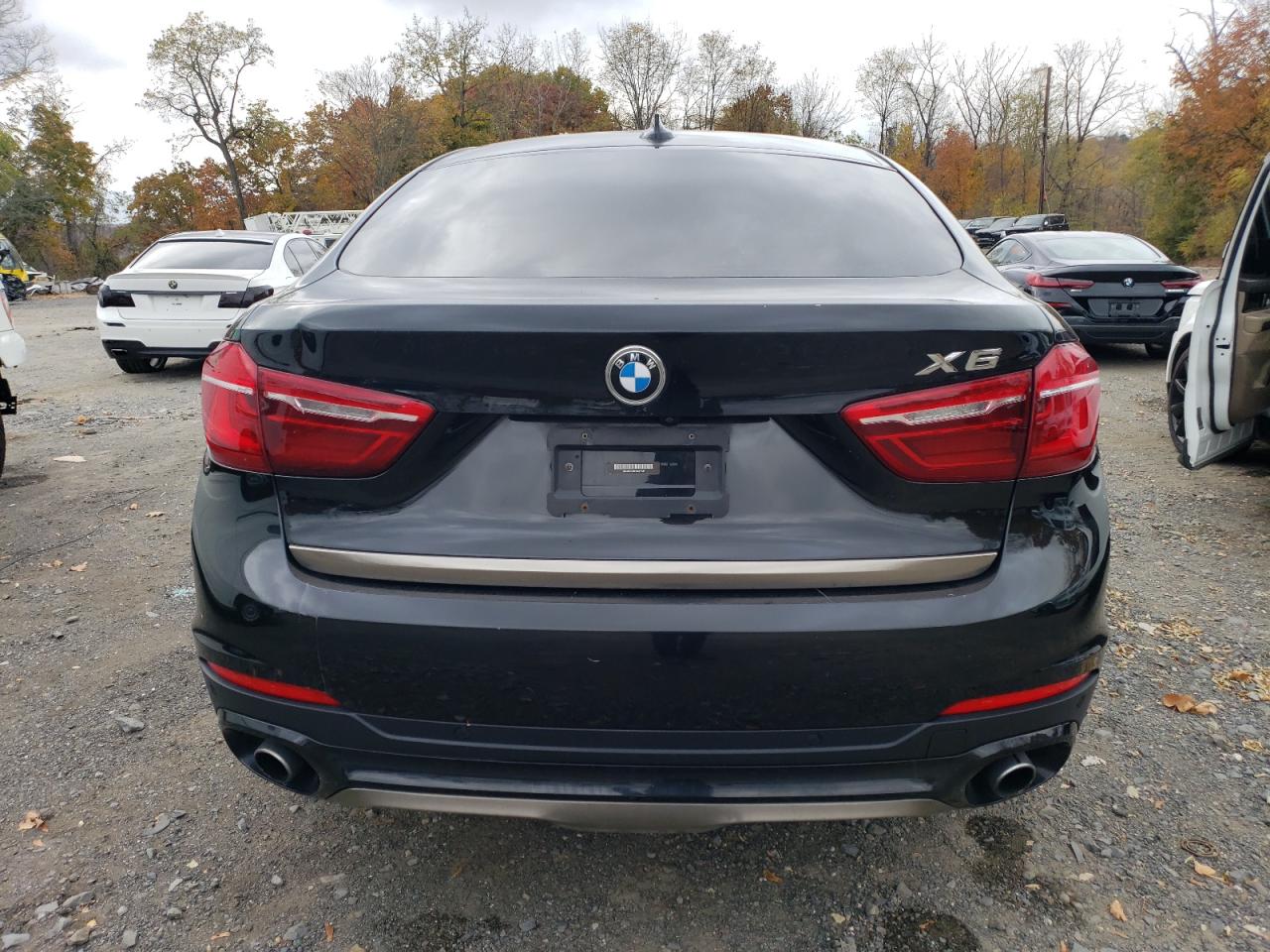2017 BMW X6 VIN 5UXKU2C38H0X47337 Copart auction photo, minor dent/scratches damage thumbnail 6