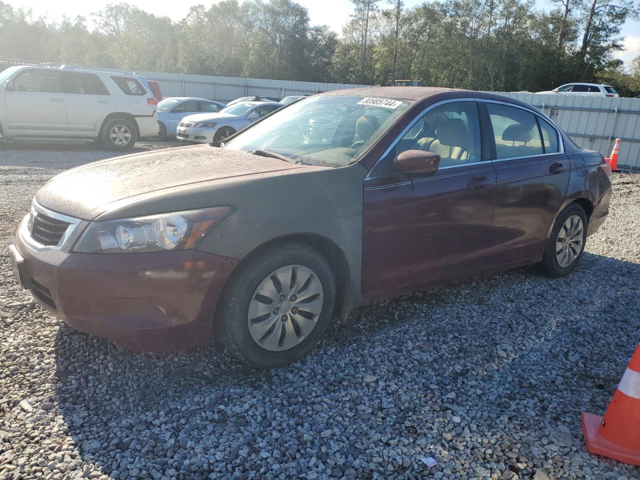 2010 Honda Accord VIN 1HGCP2F33AA137629