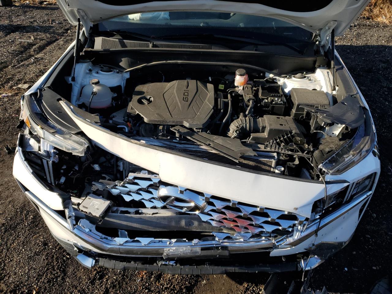 2021 Hyundai Santa Fe VIN 5NMS2DAJ1MH320614 Copart auction photo, front end damage thumbnail 14