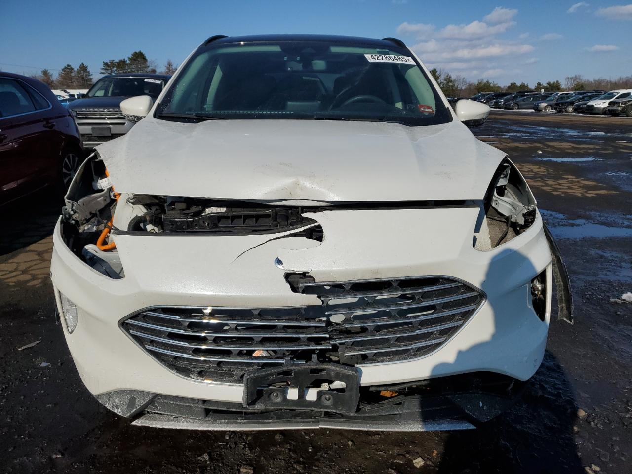 2021 Ford Escape VIN 1FMCU9DZ0MUA36540 Copart auction photo, front end / minor dent/scratches damage thumbnail 5
