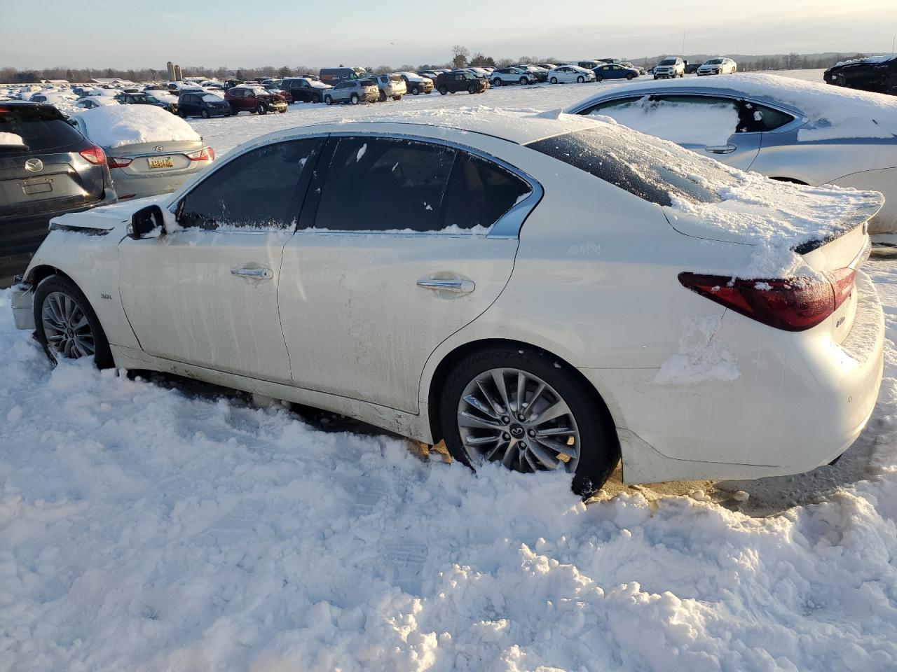 2019 Infiniti Q50 VIN JN1EV7AR2KM559089 Copart auction photo, all over damage thumbnail 2