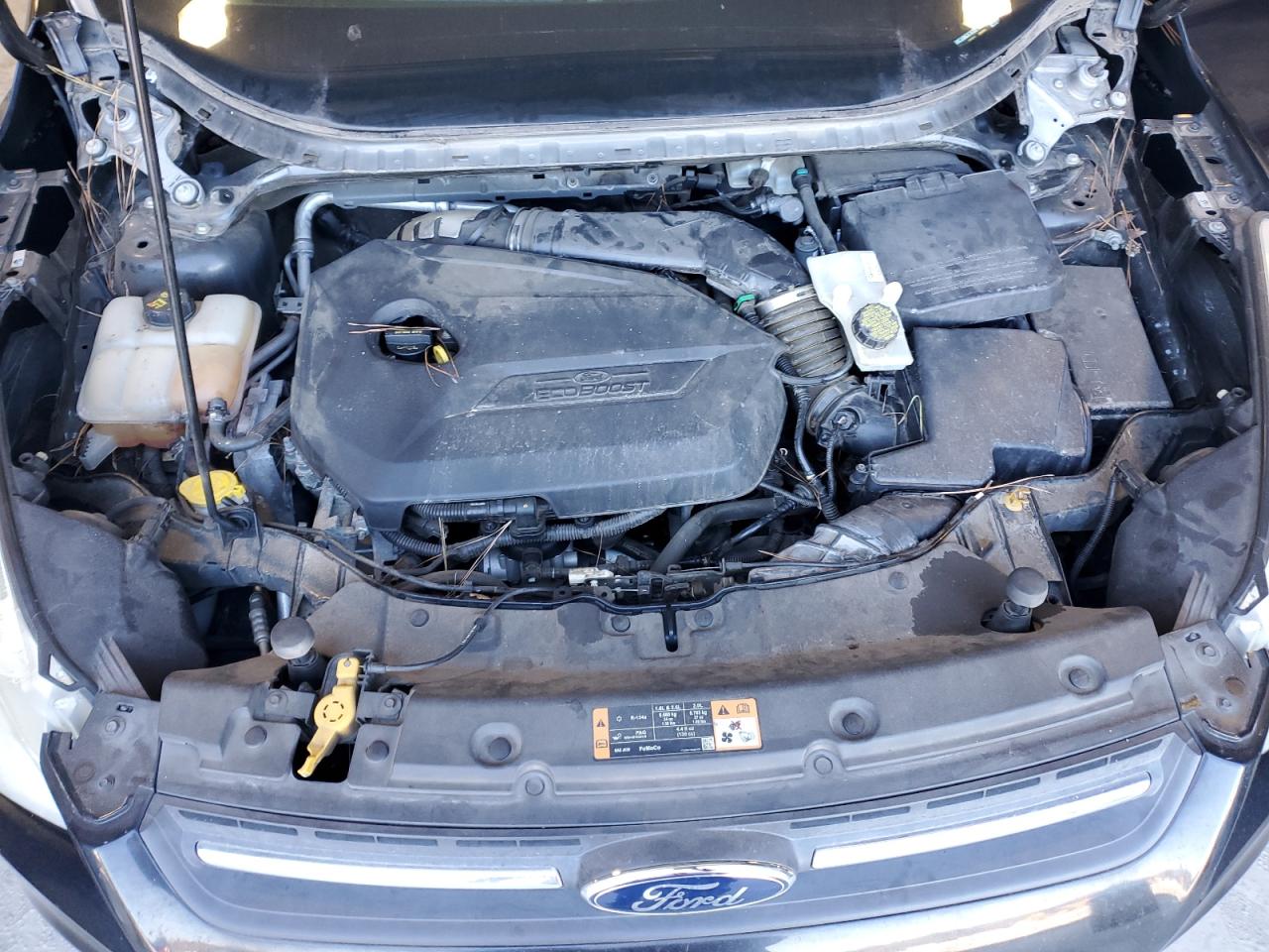 2014 Ford Escape VIN 1FMCU0GX7EUE18989 Copart auction photo, minor dent/scratches damage thumbnail 12