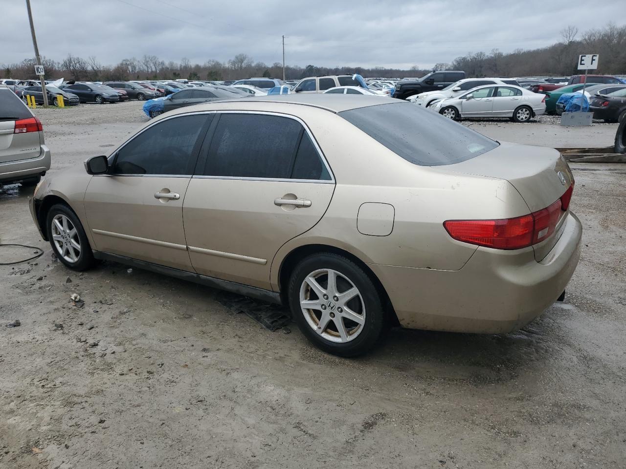 2005 Honda Accord VIN 1HGCM56485A066484 Copart auction photo, front end damage thumbnail 2