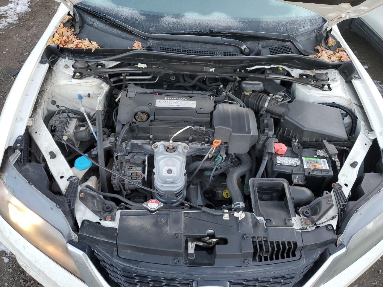 2013 Honda Accord VIN 1HGCT1B85DA008237 Copart auction photo, side damage thumbnail 11