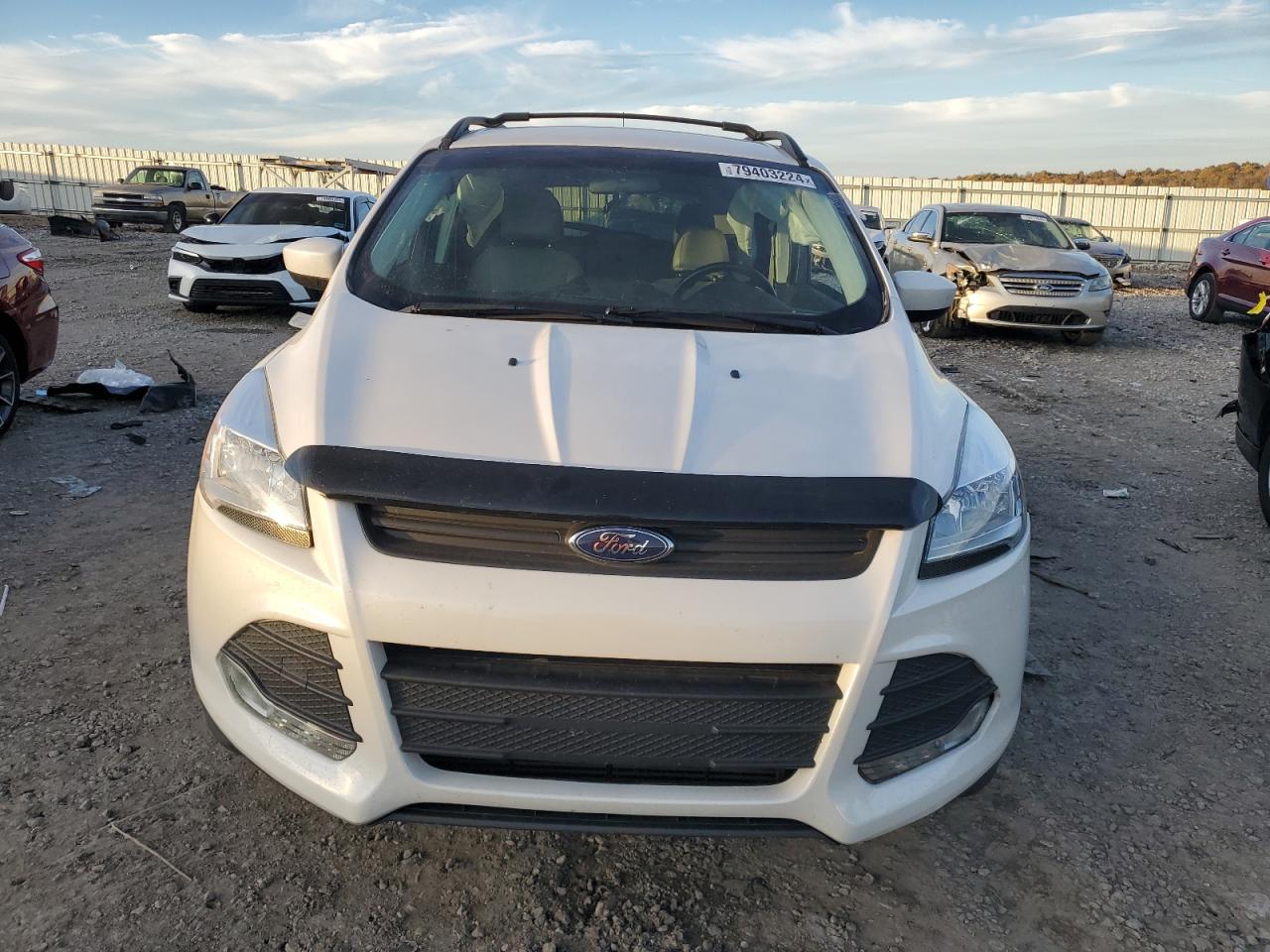 2014 Ford Escape VIN 1FMCU0G98EUA89625 Copart auction photo, all over / side damage thumbnail 5
