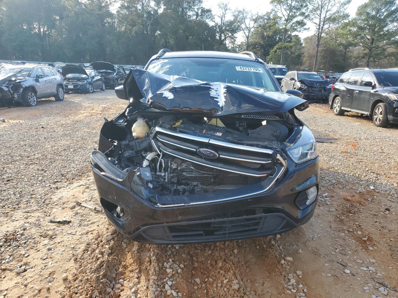 2019 Ford Escape VIN 1FMCU0GD1KUB14137 Copart auction photo, front end damage thumbnail 5