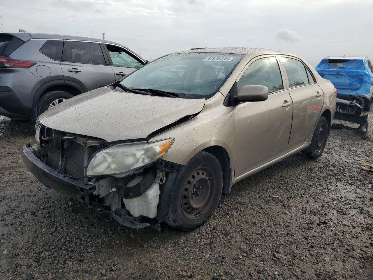 2009 Toyota Corolla VIN 1NXBU40E69Z116806