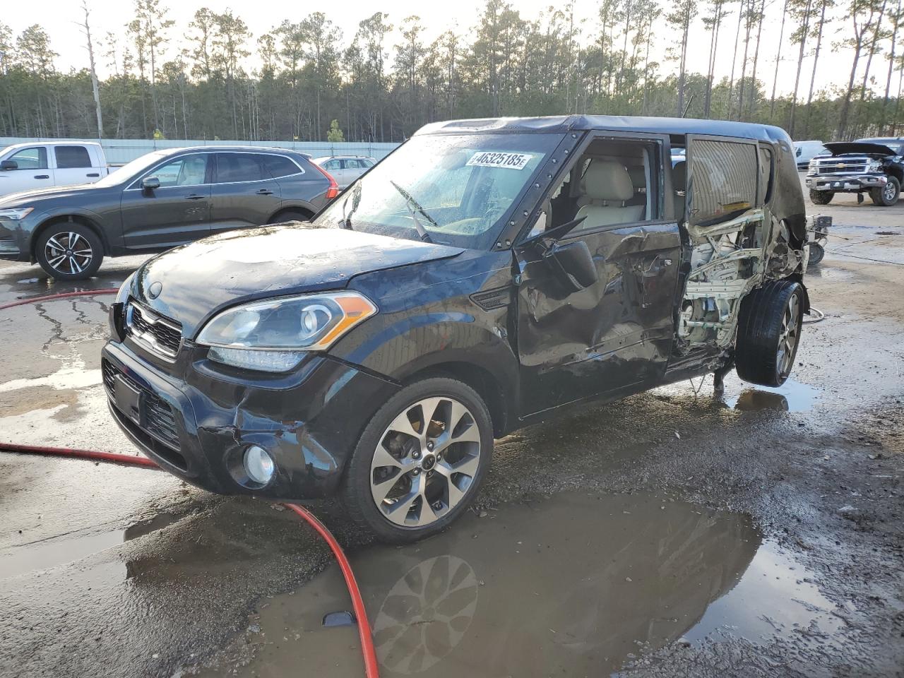 2013 KIA Soul VIN KNDJT2A61D7750093 - Copart auction photo