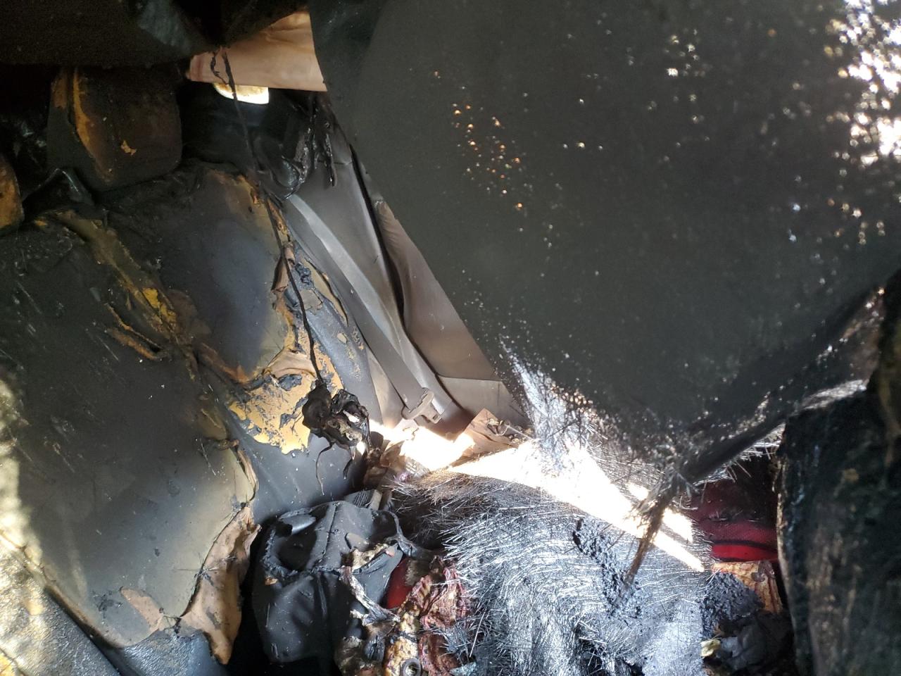 2016 Jeep Renegade VIN ZACCJBCT3GPD67216 Copart auction photo, burn - engine / replaced vin damage thumbnail 11