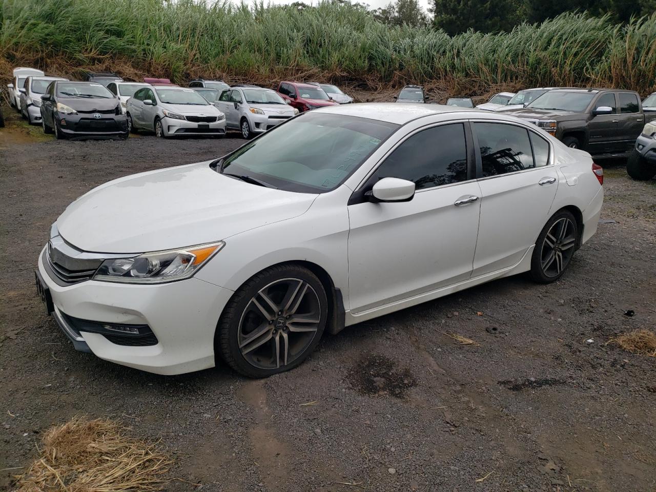 2017 Honda Accord VIN 1HGCR2F13HA001262