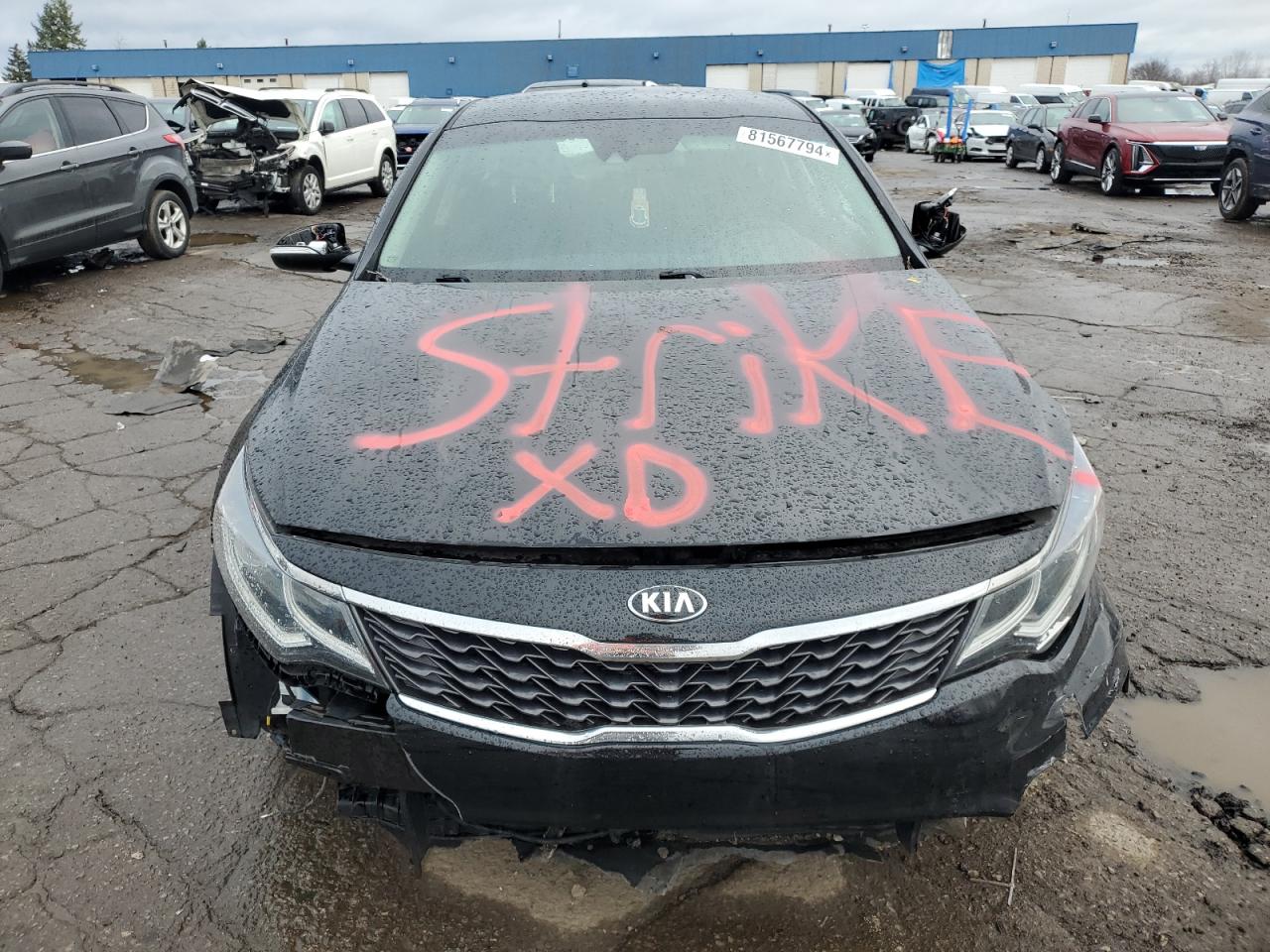 2019 KIA Optima VIN 5XXGT4L39KG368584 Copart auction photo, all over / vandalism damage thumbnail 5
