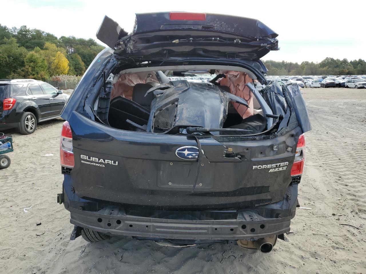 2016 Subaru Forester VIN JF2SJAHCXGH541791 Copart auction photo, all over / minor dent/scratches damage thumbnail 6