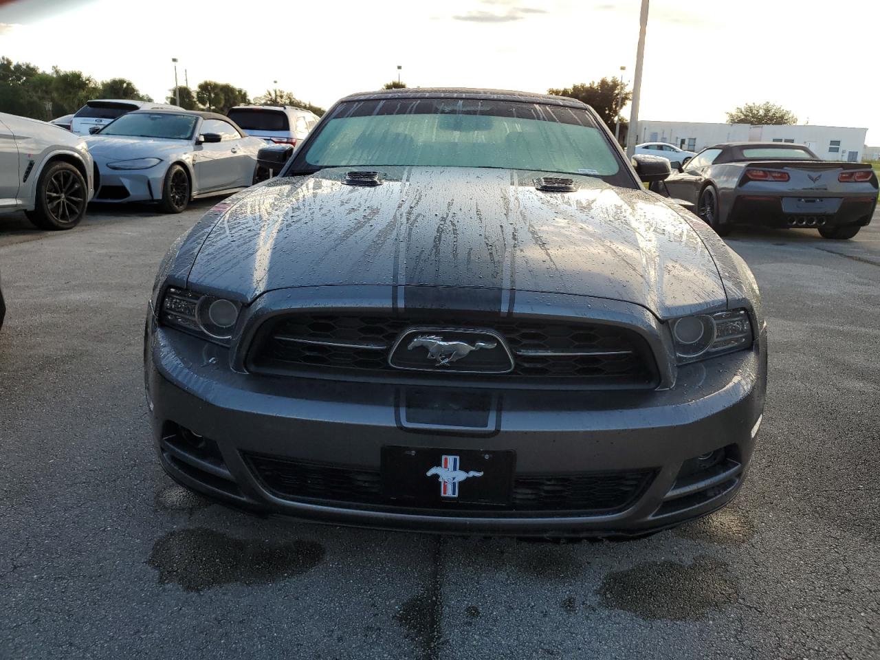 2014 Ford Mustang VIN 1ZVBP8EMXE5253672 Copart auction photo, water/flood damage thumbnail 5