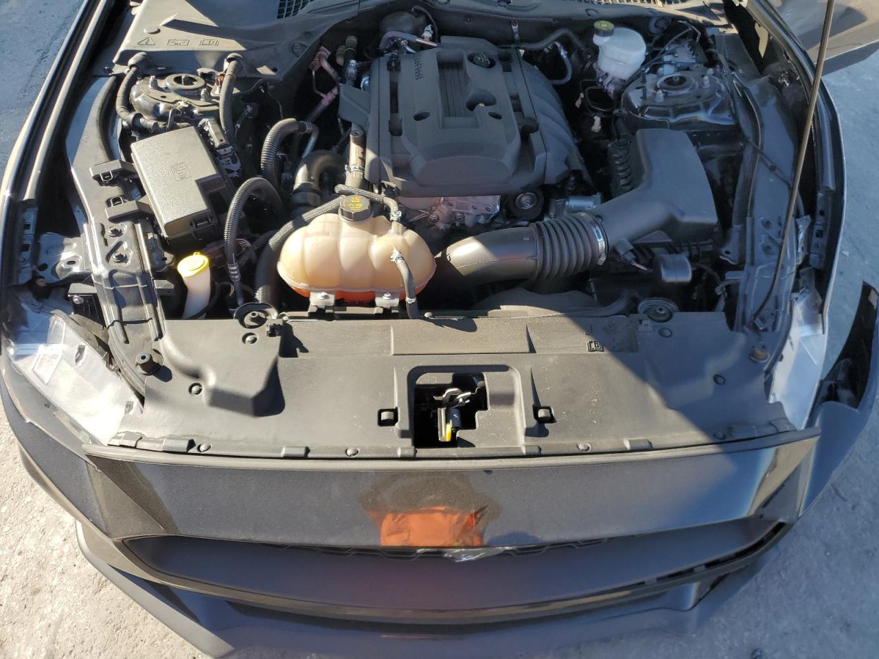 2019 Ford Mustang VIN 1FA6P8TH1K5191736 Copart auction photo, all over damage thumbnail 11