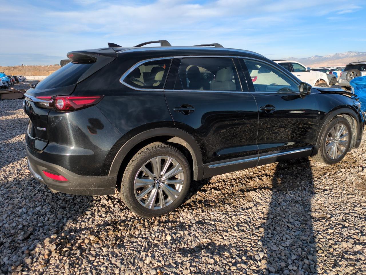 2021 Mazda CX-9 VIN JM3TCBEY3M0534511 Copart auction photo, front end damage thumbnail 3