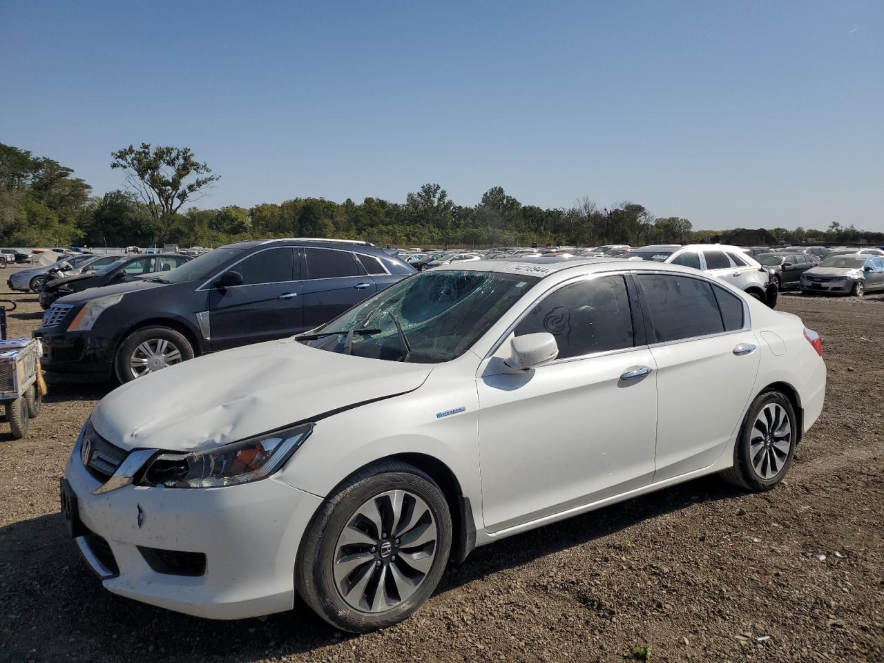 2014 Honda Accord VIN 1HGCR6F59EA000882
