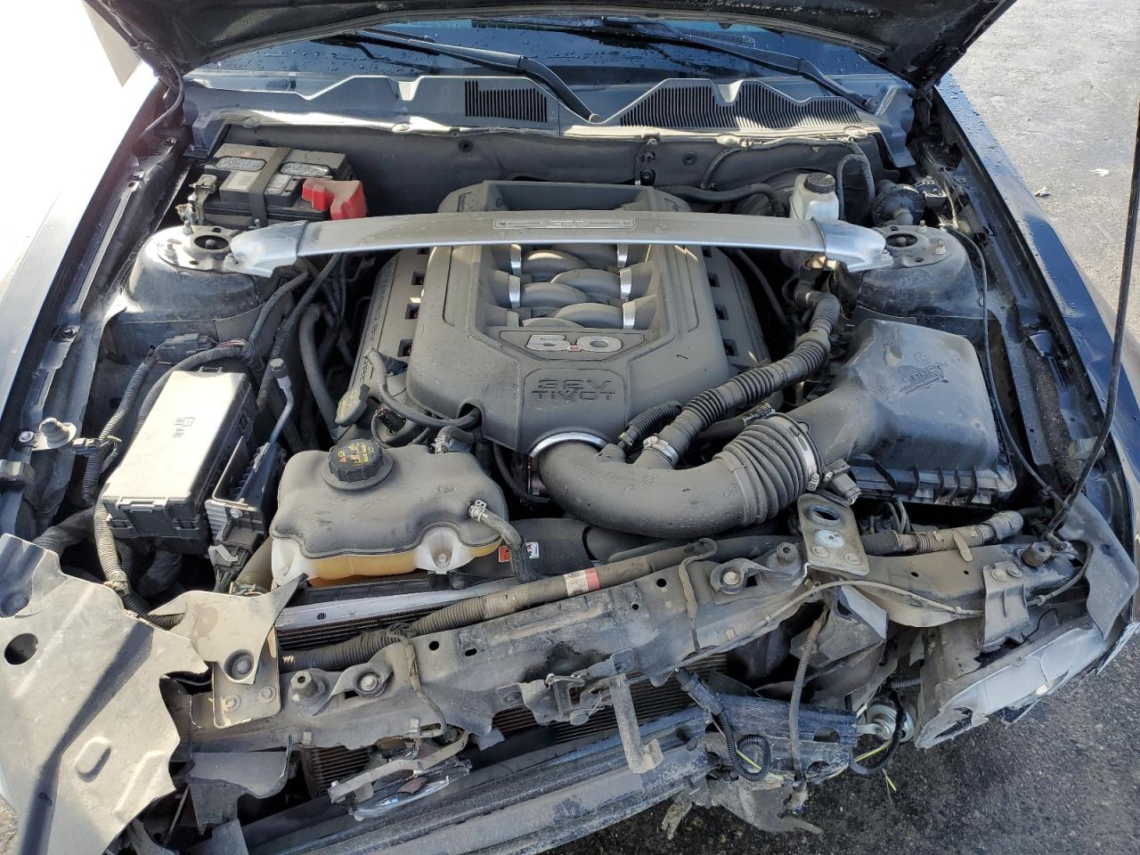2014 Ford Mustang VIN 1ZVBP8CF8E5210419 Copart auction photo, front end damage thumbnail 12