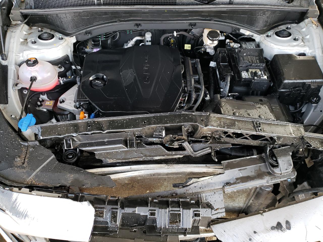 2023 Hyundai Santa Fe VIN 5NMS2DAJ0PH639636 Copart auction photo, rollover damage thumbnail 12