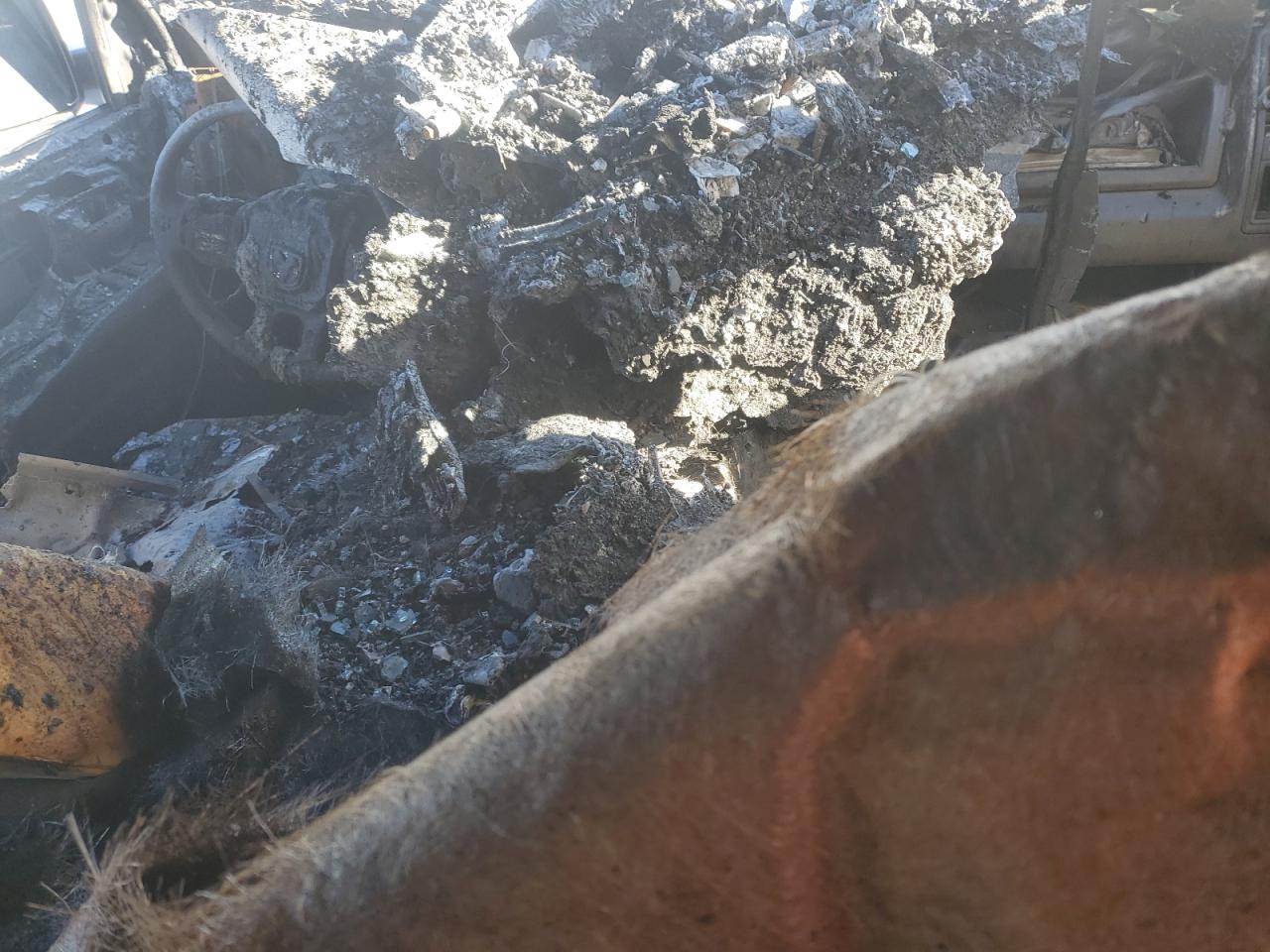 2014 RAM 1500 VIN 1C6RR7KT5ES248826 Copart auction photo, burn / missing/altered vin damage thumbnail 8