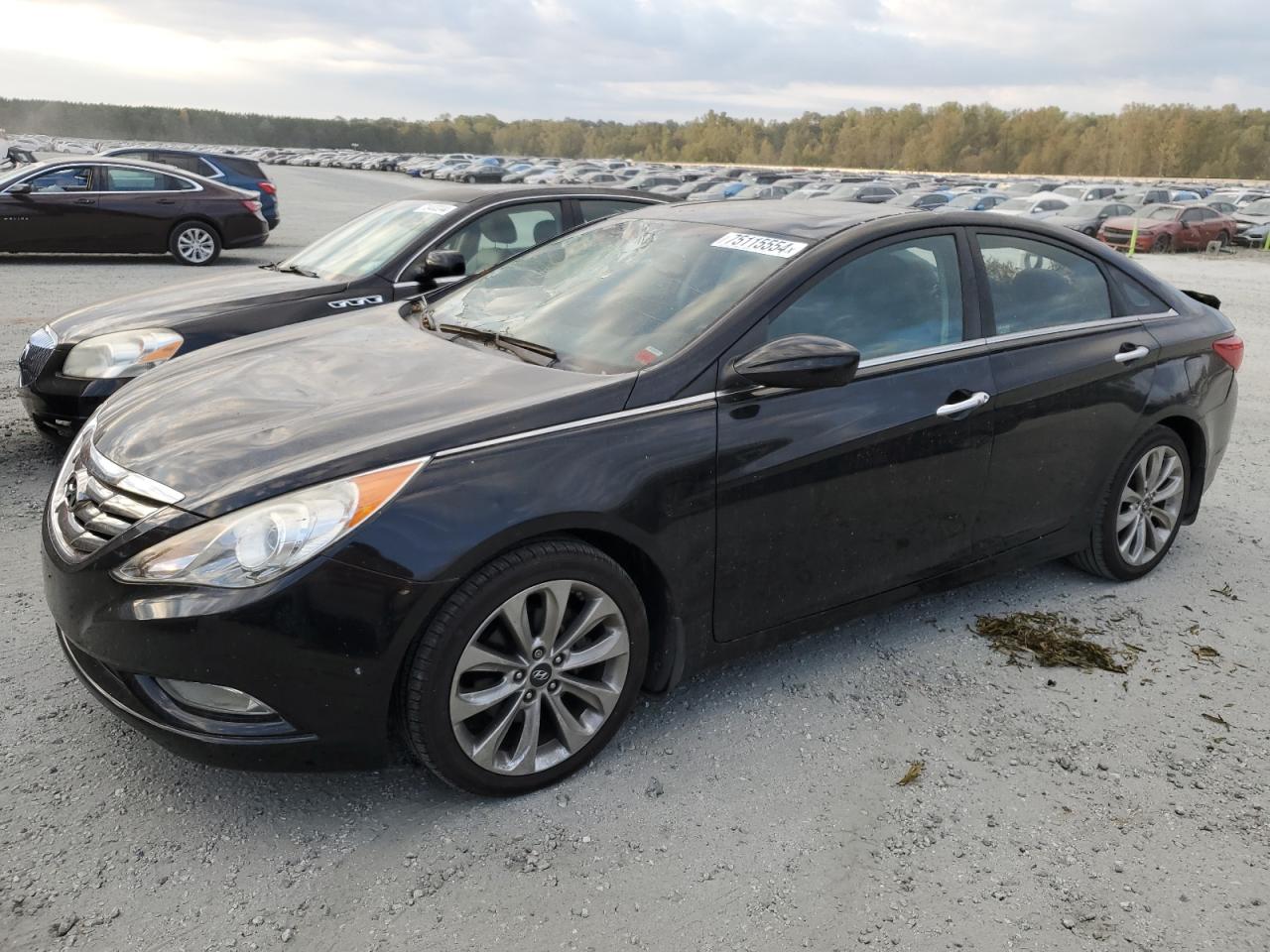 2013 Hyundai Sonata VIN 5NPEC4AC3DH771221