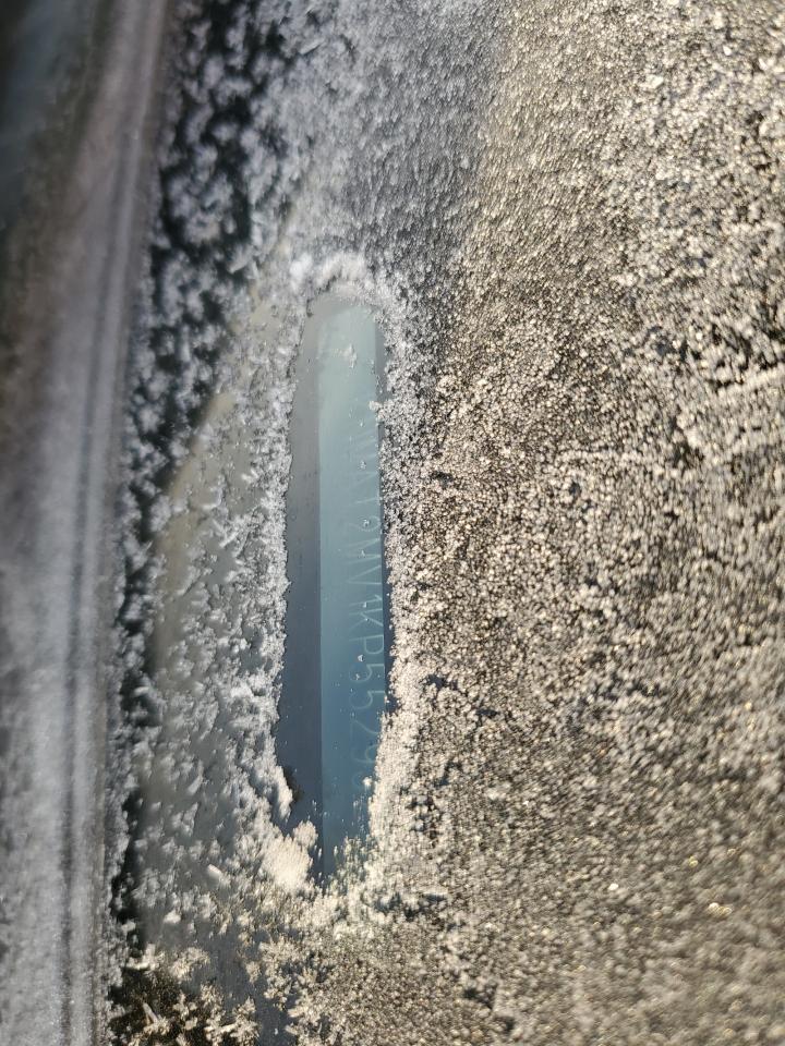 2019 Nissan Rogue VIN KNMAT2MV1KP552937 Copart auction photo, side / front end damage thumbnail 12