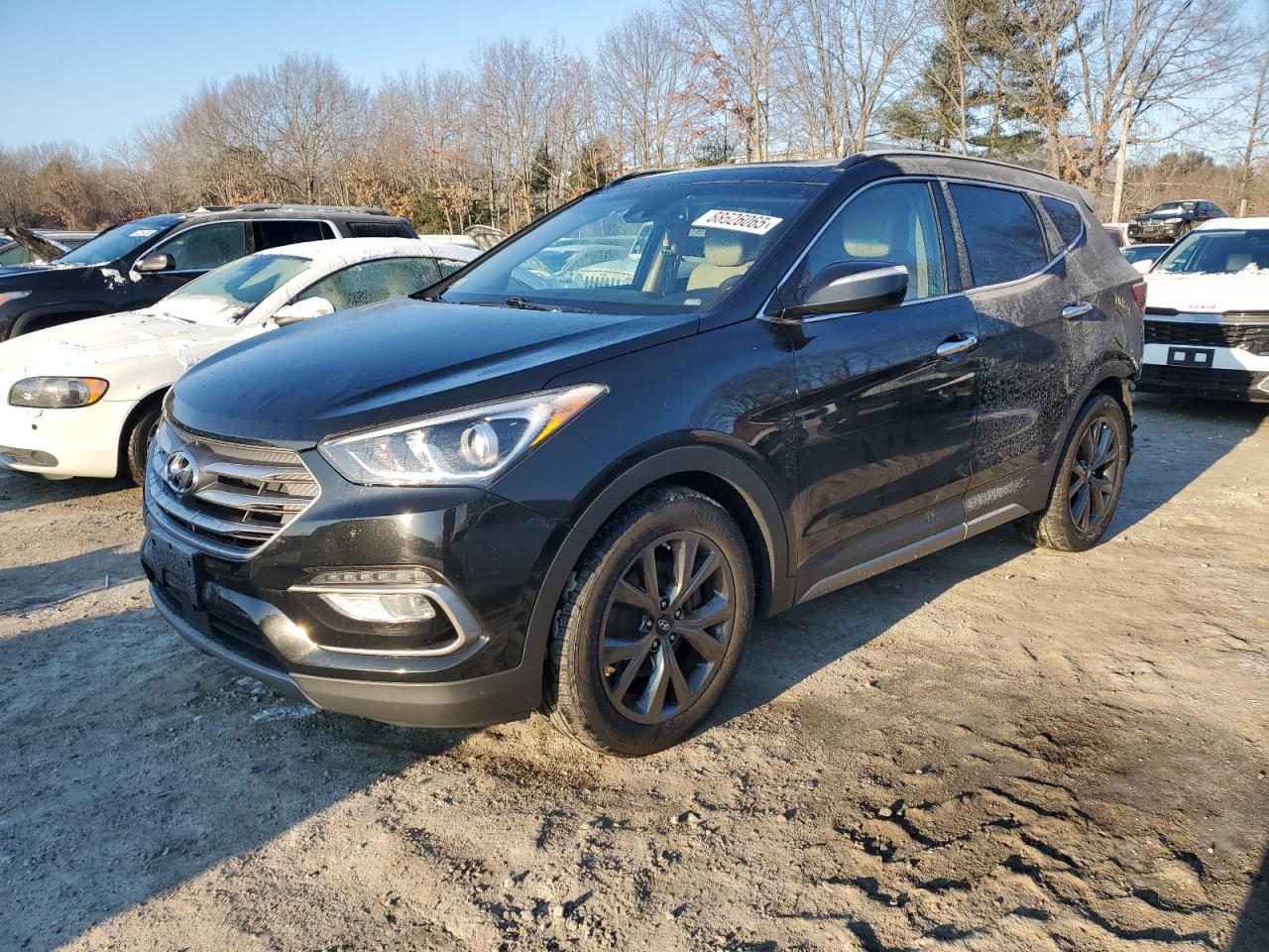 2017 Hyundai Santa Fe VIN 5XYZWDLA8HG494499