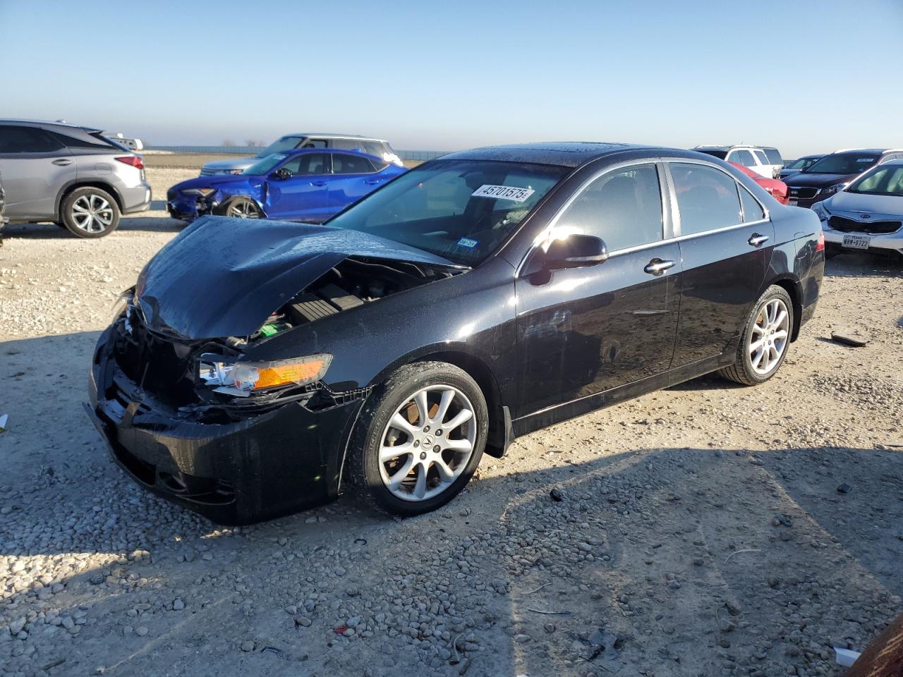 2006 Acura TSX VIN JH4CL95836C031305