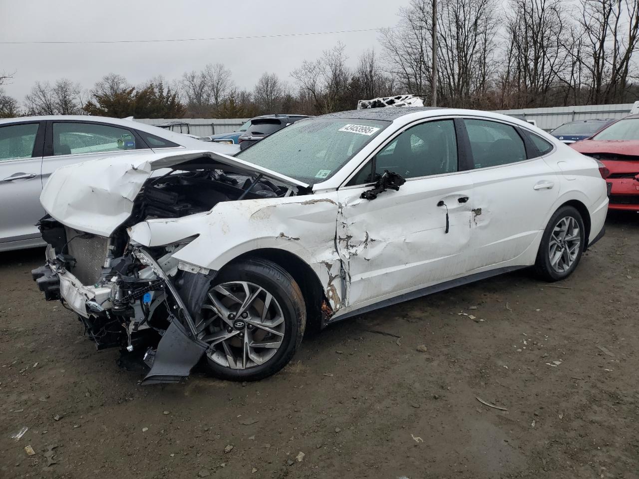 2021 Hyundai Sonata VIN 5NPEF4JA7MH091666