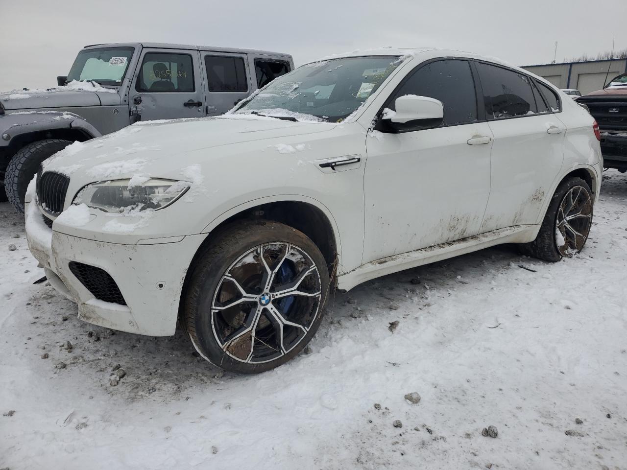 2014 BMW X6 VIN 5YMGZ0C51E0C40557 - Copart auction photo