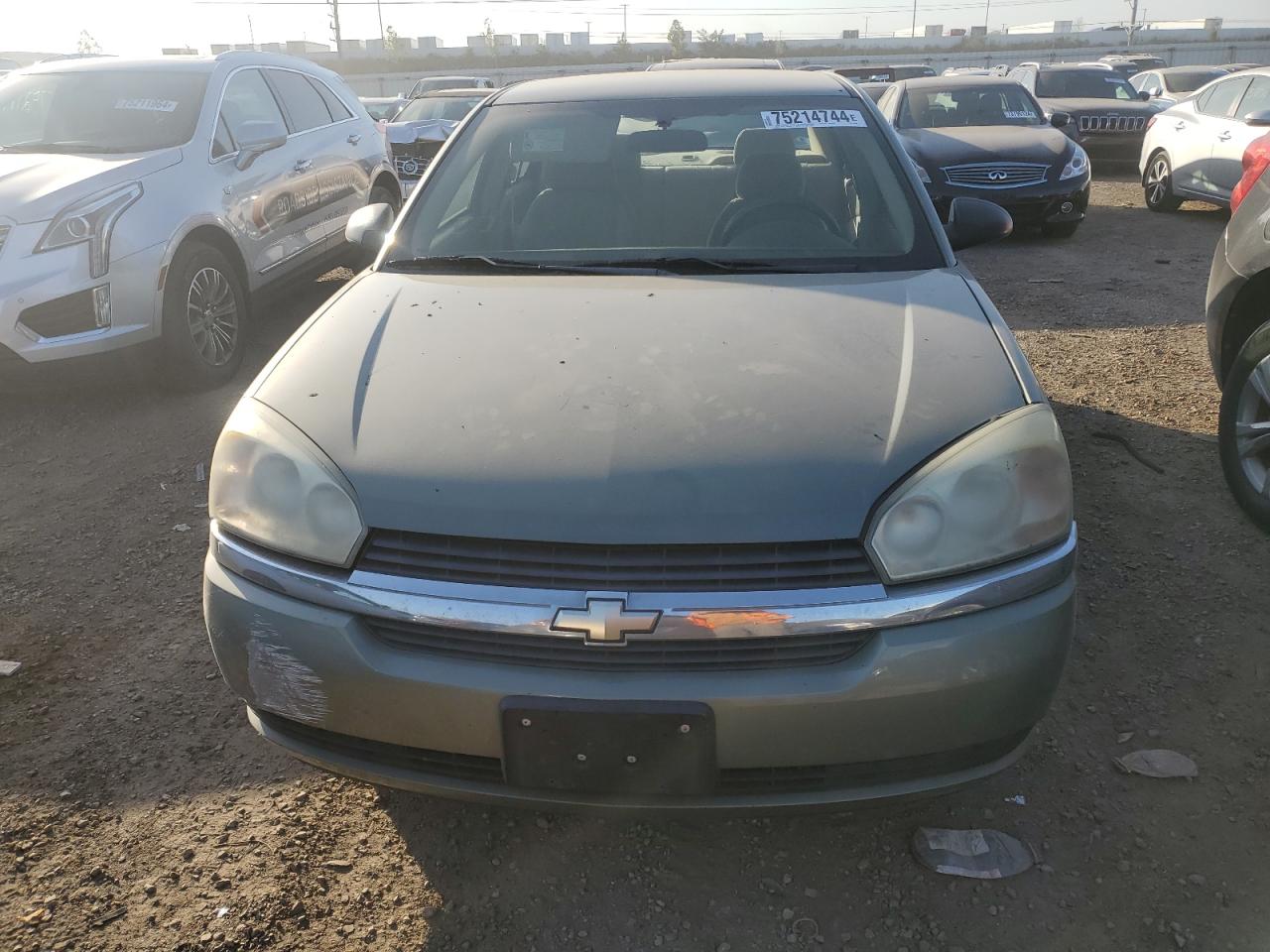 2005 Chevrolet Malibu VIN 1G1ZT52855F245839 Copart auction photo, rear end damage thumbnail 5