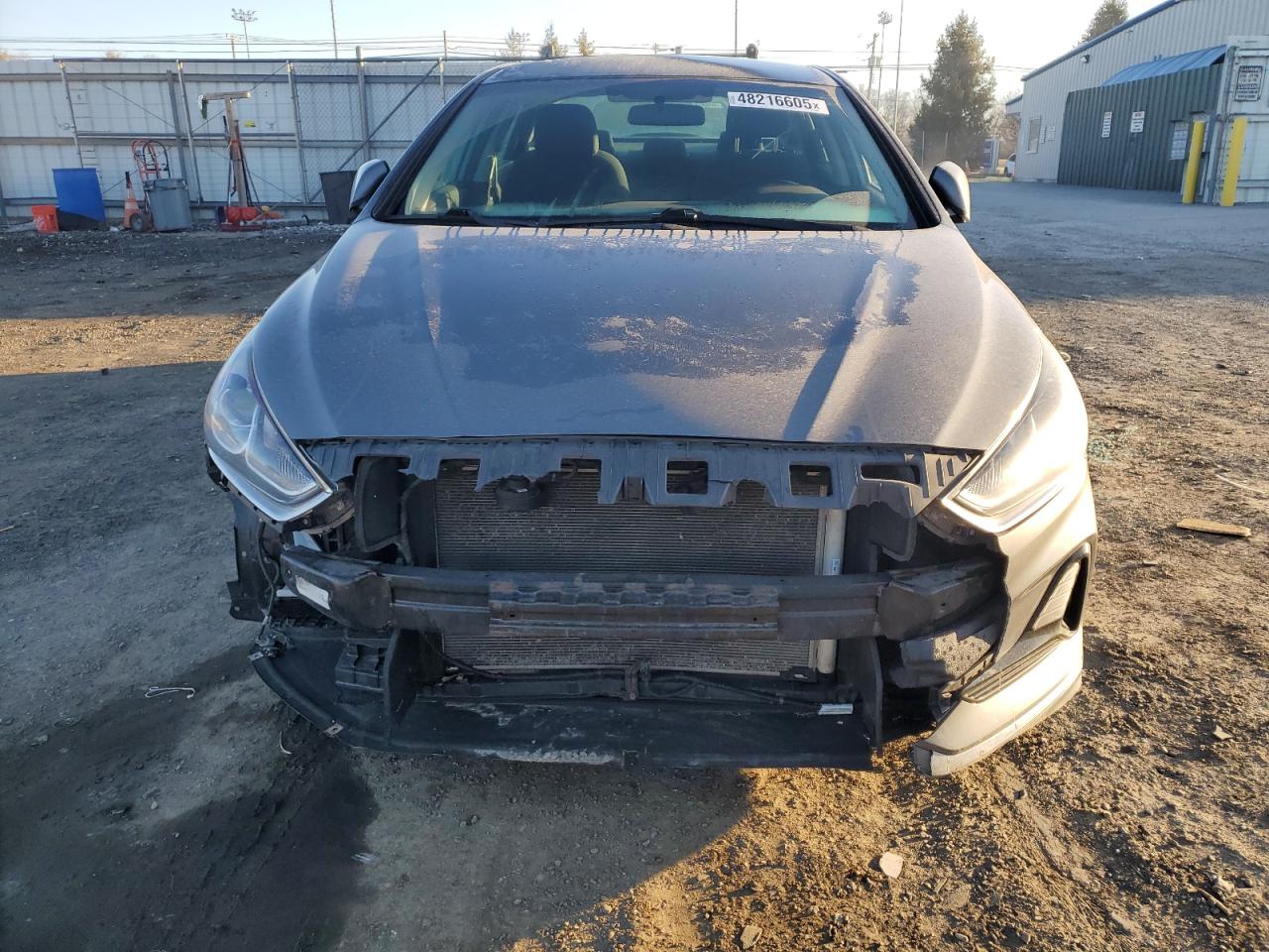 2019 Hyundai Sonata VIN 5NPE24AF7KH806014 Copart auction photo, vandalism / front end damage thumbnail 5