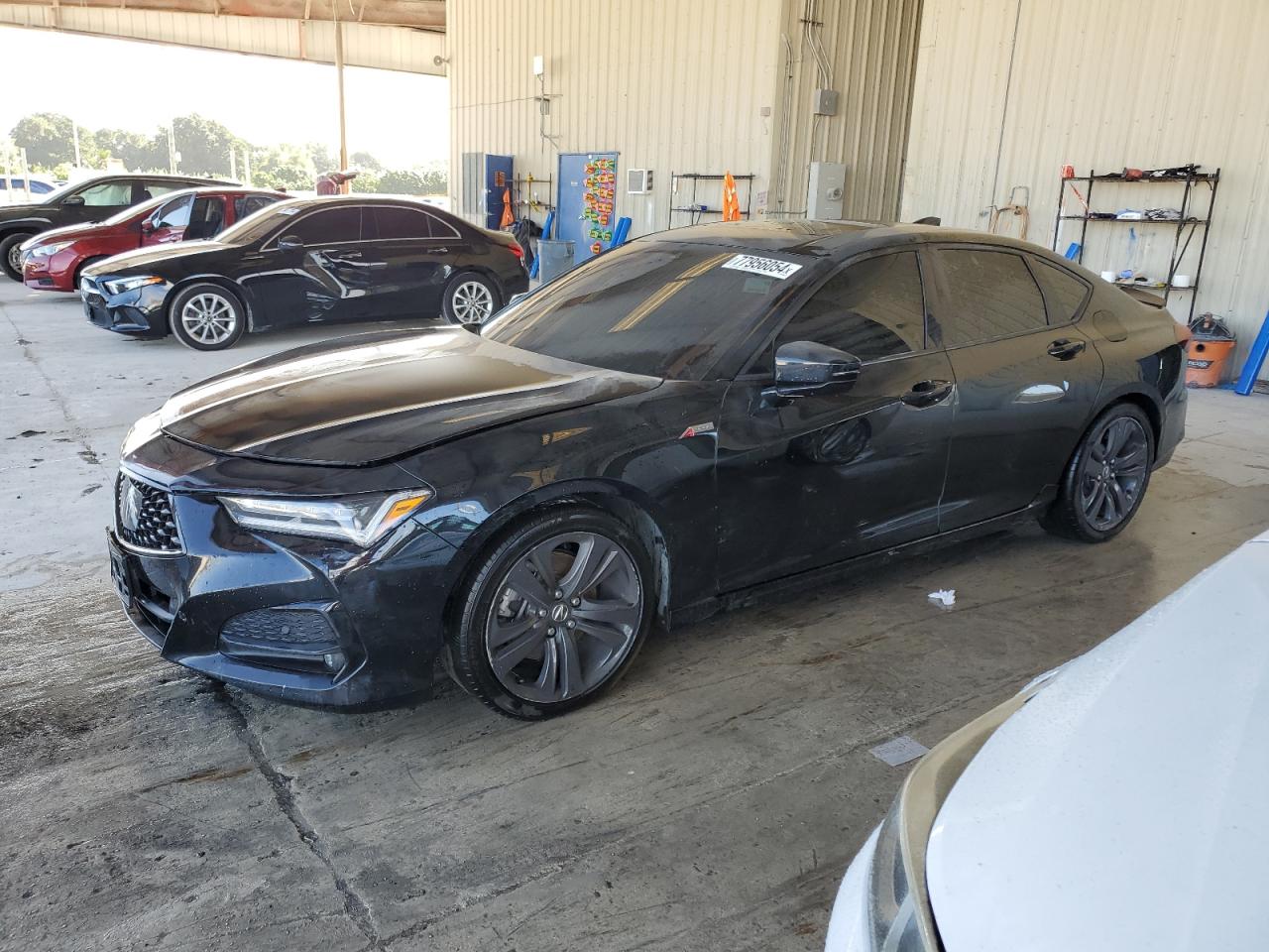 2022 Acura TLX VIN 19UUB5F52NA003304