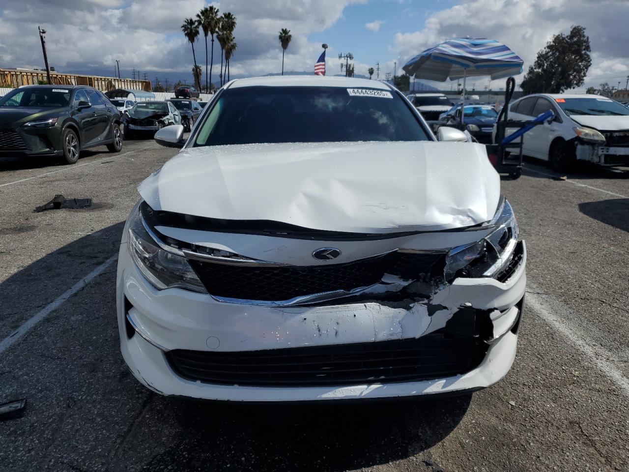2016 KIA Optima VIN KNAGT4L39G5081979 Copart auction photo, front end / minor dent/scratches damage thumbnail 5