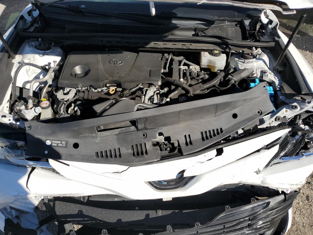2019 Toyota Camry VIN 4T1B31HK5KU005679 Copart auction photo, front end damage thumbnail 11