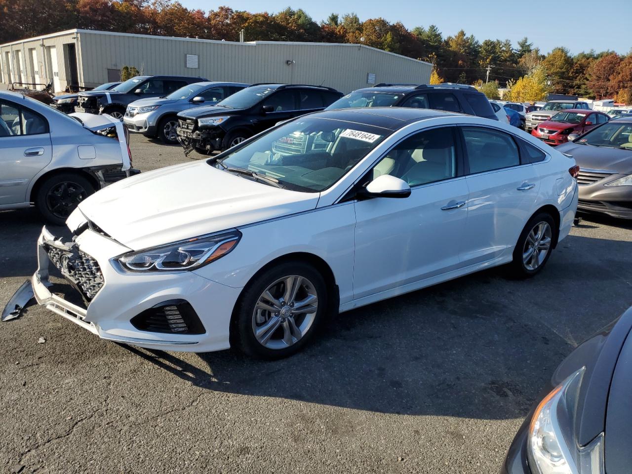 2019 Hyundai Sonata VIN 5NPE34AF5KH734727