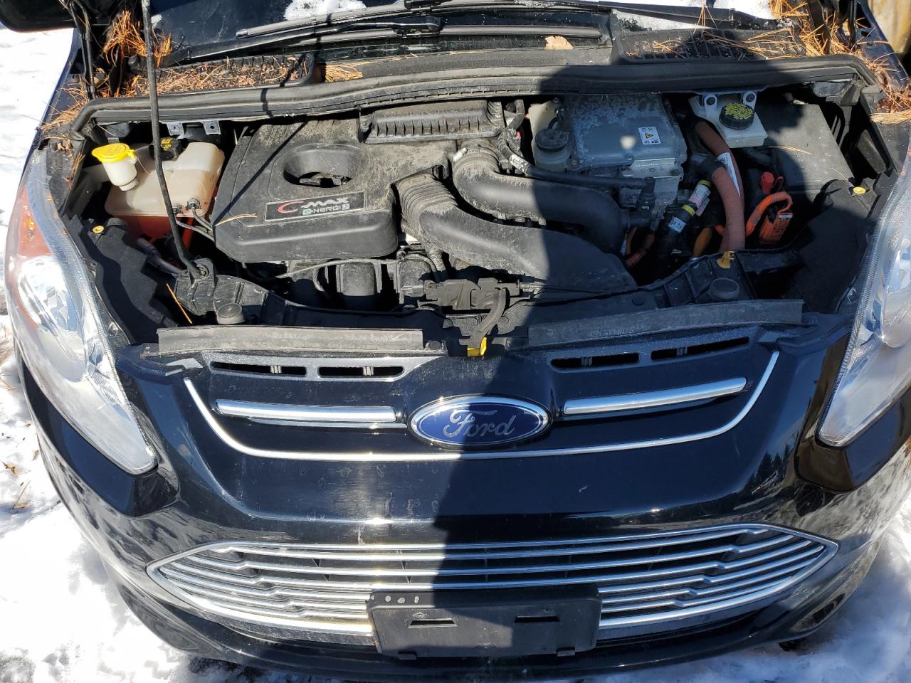 2016 Ford C-MAX VIN 1FADP5CU0GL119755 Copart auction photo, rear end damage thumbnail 11