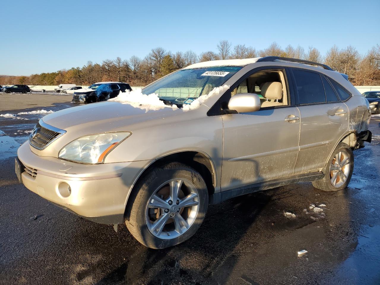 2007 Lexus RX VIN JTJHW31U972023762