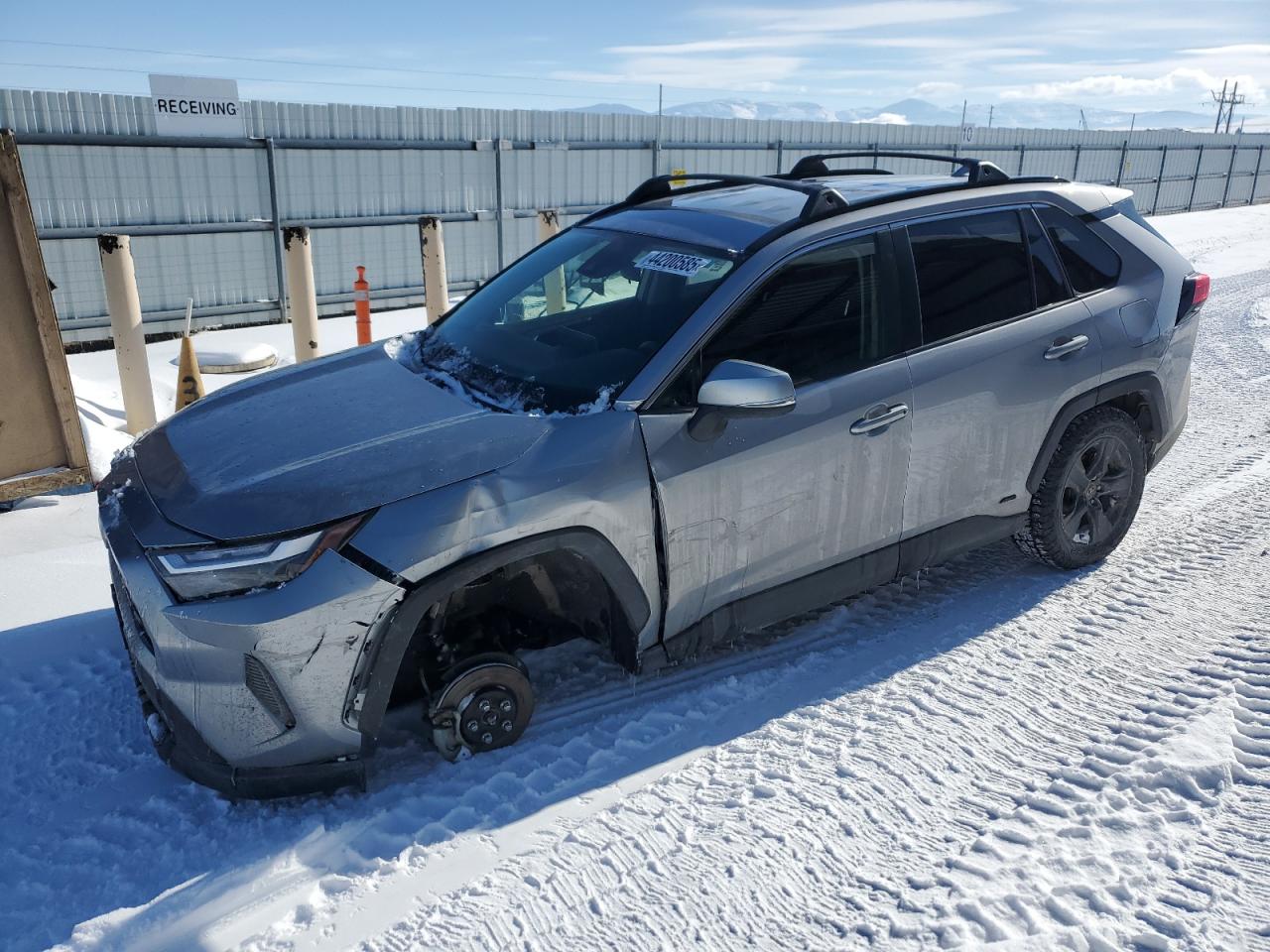 2023 Toyota RAV 4 VIN JTMMWRFV1PD184987