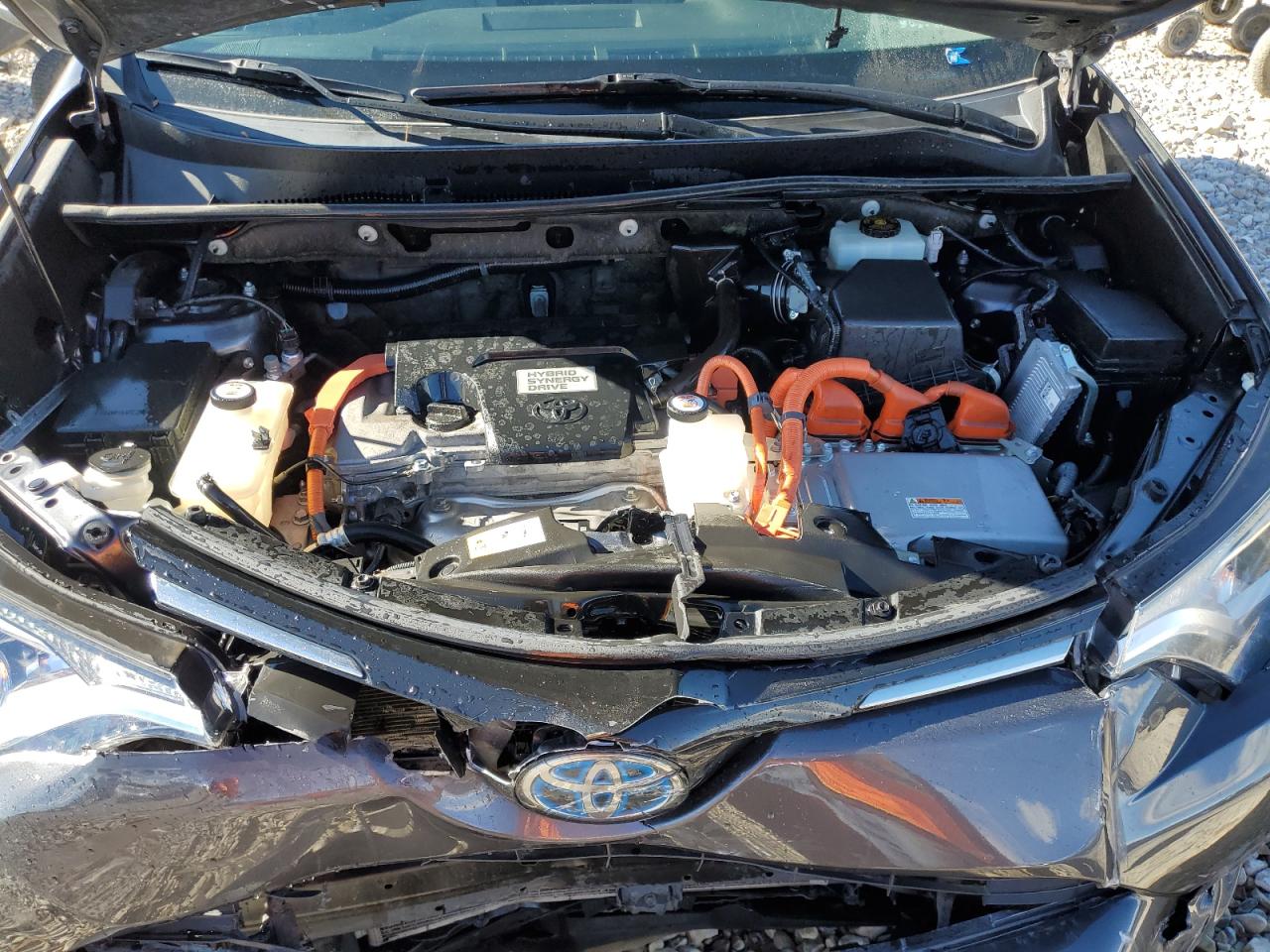 2017 Toyota RAV 4 VIN JTMRJREV8HD090788 Copart auction photo, front end damage thumbnail 12