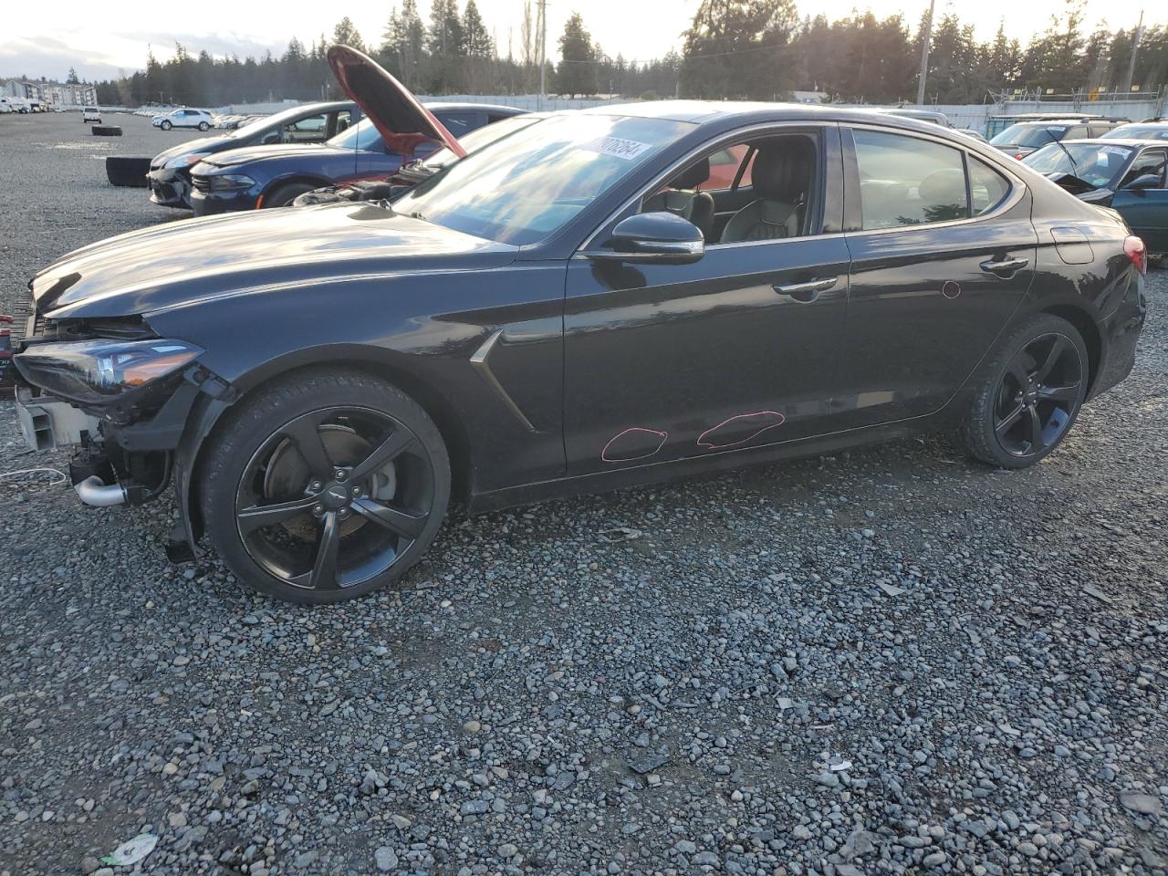 2019 Genesis G70 VIN KMTG44LA0KU014928