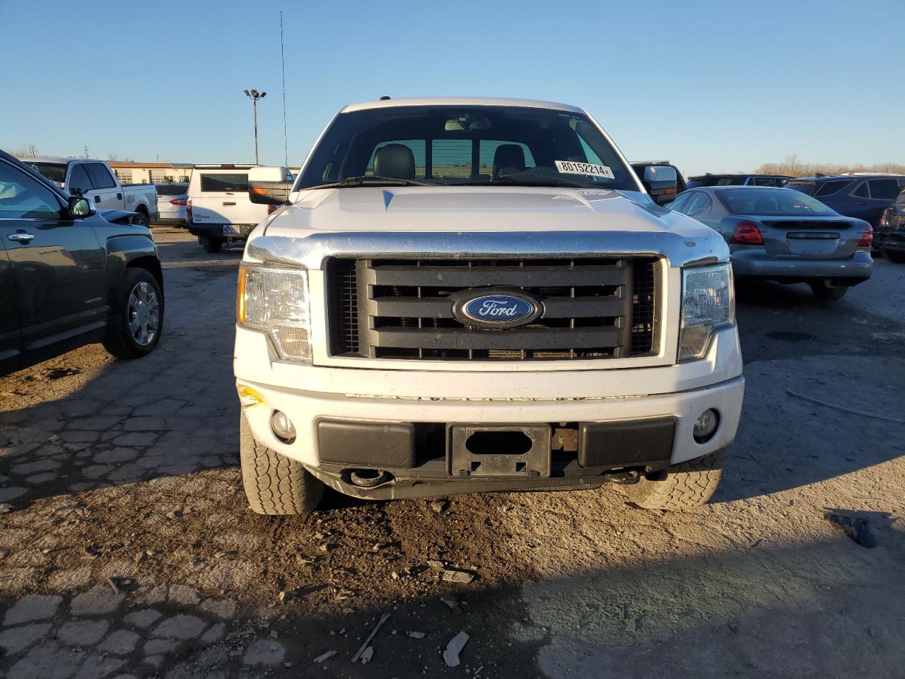 2010 Ford F-150 VIN 1FTFW1EV7AFD95103 Copart auction photo, side / minor dent/scratches damage thumbnail 5