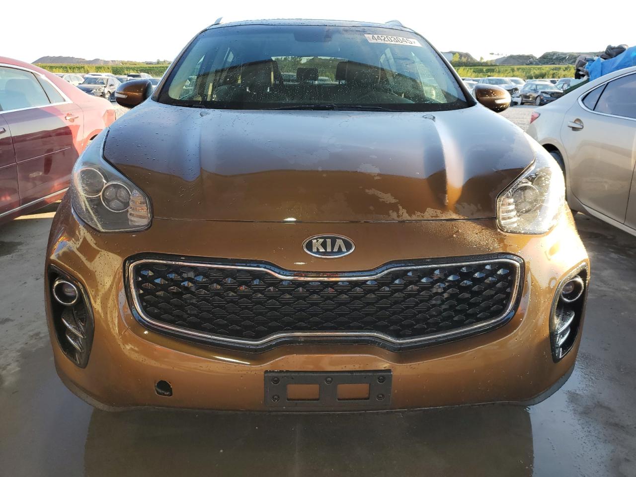2017 KIA Sportage VIN KNDPNCAC8H7151178 Copart auction photo, normal wear / minor dent/scratches damage thumbnail 5