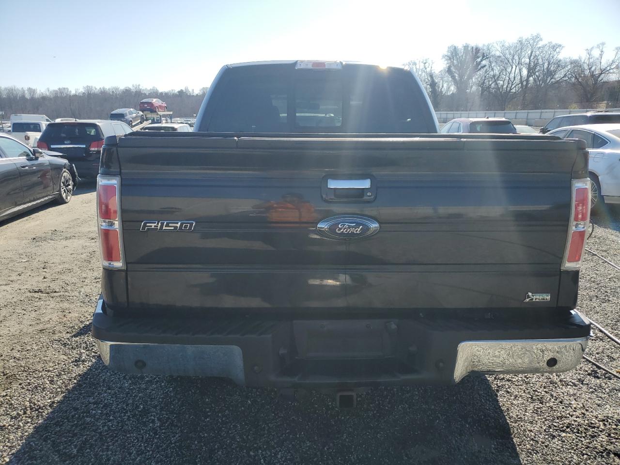 2010 Ford F-150 VIN 1FTFW1EV9AFC83760 Copart auction photo, rear end damage thumbnail 6