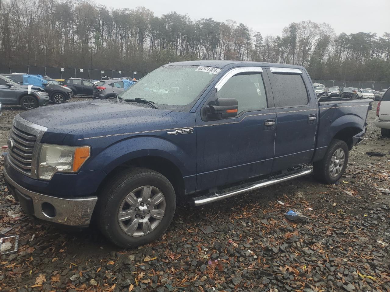 2010 Ford F-150 VIN 1FTEW1C88AFD08611