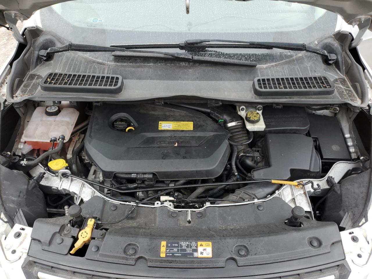 2013 Ford Escape VIN 1FMCU0GX6DUD83344 Copart auction photo, rejected repair damage thumbnail 13