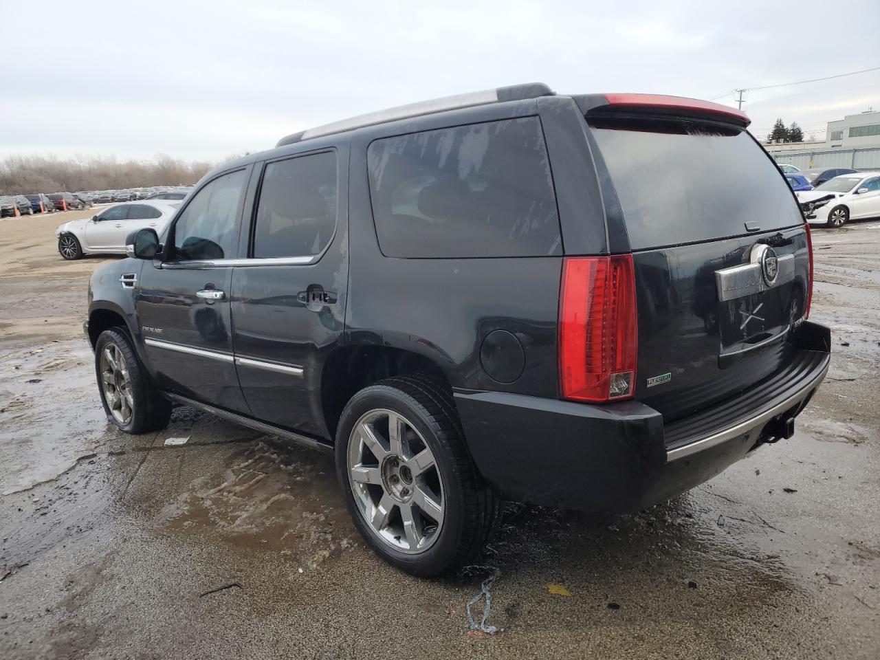 2010 Cadillac Escalade VIN 1GYUKCEF5AR224284 Copart auction photo, side damage thumbnail 2