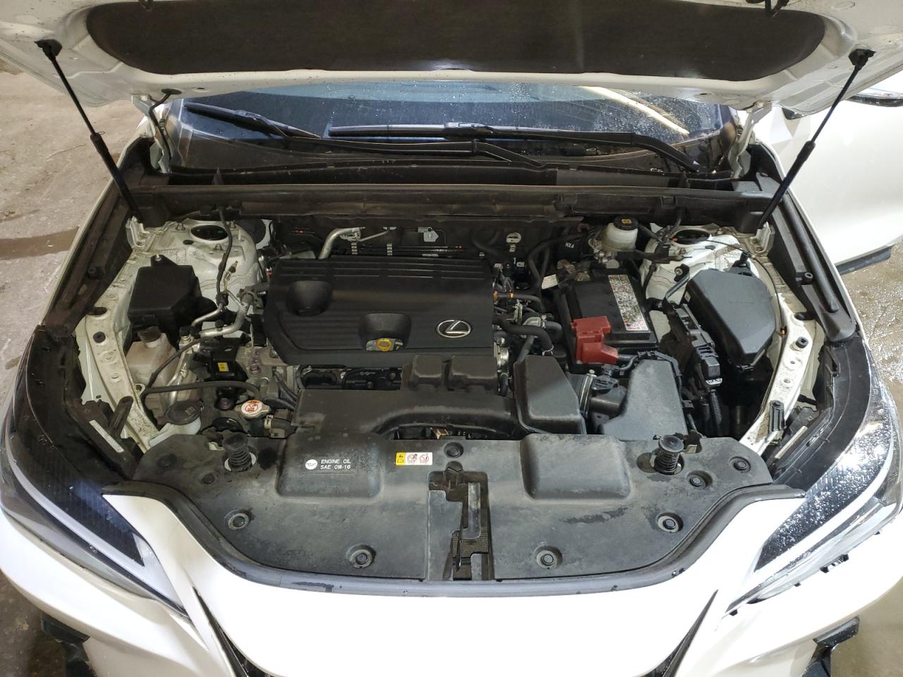 2022 Lexus NX VIN JTJADCEZ4N2000125 Copart auction photo, all over damage thumbnail 12