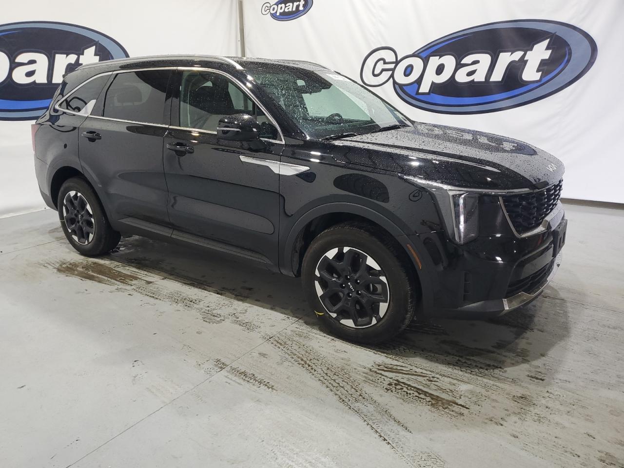 2024 KIA Sorento VIN 5XYRLDJC3RG288053 Copart auction photo, rear end damage thumbnail 4